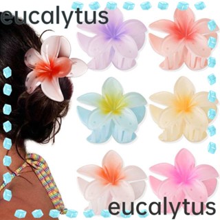 Eucalytus1 กิ๊บติดผม พลาสติก รูปดอกไม้ ปลาฉลาม สไตล์โบฮีเมียน สีสันสดใส สําหรับผู้หญิง