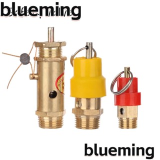 Blueming2 วาล์วท่อไอเสีย ทองเหลือง สีแดง สีเหลือง สําหรับหมวก