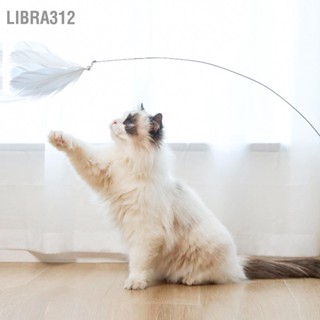 Libra312 Cat Teaser เหล็กลวดยืดหยุ่น Rod Interactive Feather Pole ของเล่นแมวสำหรับเบื่อแมวในร่ม Chase และออกกำลังกาย