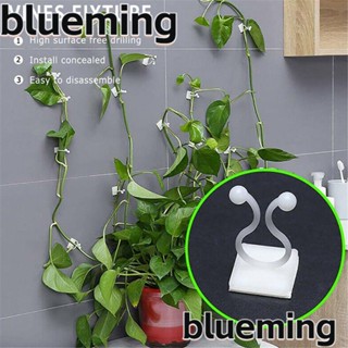 Blueming2 คลิปตะขอแขวนต้นไม้ เถาวัลย์ แบบติดผนัง 10 ชิ้น