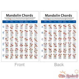 โปสเตอร์ Mandolin Chord Chart สําหรับผู้เริ่มต้นเรียนการสอน