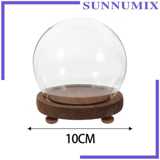 [Sunnimix] กล่องแก้วใส ฐานไม้เปล่า สําหรับตกแต่งบ้าน ห้องนั่งเล่น