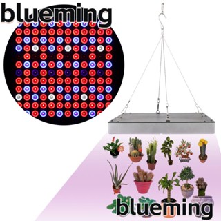 Blueming2 หลอดไฟ LED 25W45W สําหรับปลูกพืชไฮโดรโปนิกในร่ม