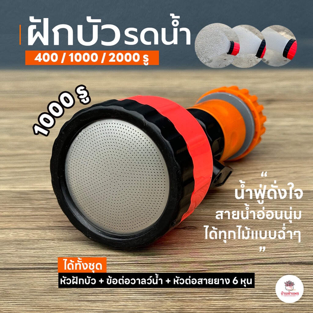 ฝักบัวรดน้ำสีส้ม 400 รู 1000 รู 2000 รู ฝักบัวน้ำฝอย แคคตัส กระบองเพชร ไม้อวบน้ำ cactus&succulent