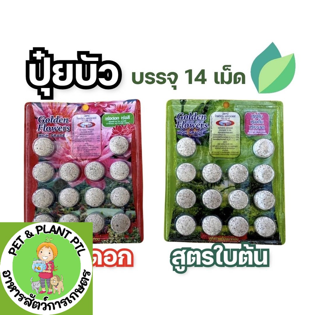 [14 เม็ด] ปุ๋ยบัว ปุ๋ยบอน ปุ๋ยไม้น้ำ Golden Flowers แผงละ 14 เม็ด ช่องาม สูตรเร่งต้น สูตรเร่งดอก ปุ๋ยดอกบัว มี 2 สูตร