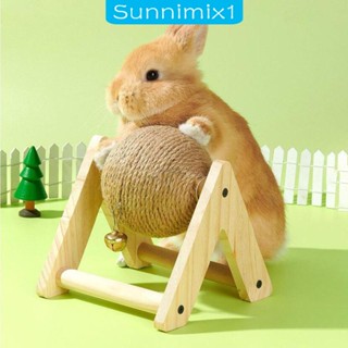 [Sunnimix1] ของเล่นลูกบอล รูปกระต่าย สําหรับกระต่าย คิตตี้ ชินชิล่า