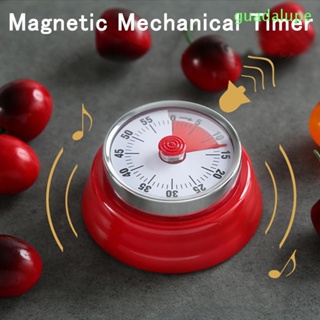 Guadalupe นาฬิกาปลุกแม่เหล็ก นับถอยหลัง 60 นาที สําหรับห้องครัว