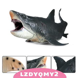 [Lzdyqmy2] โมเดลฟิกเกอร์ รูปปลาฉลาม Megalodon ขนาดเล็ก