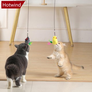 Hotwind ของเล่นเชือกแขวนประตู ให้อาหารสัตว์เลี้ยง แมว ขนาด A4F4 1 ชิ้น