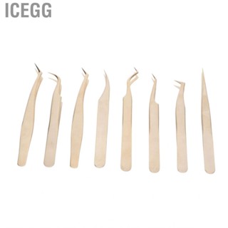 Icegg Lash Tweezers Set  Eyelash Extension Tight Bite One Piece Molding Stainless Steel for Beauty Tools Novice Practitioners