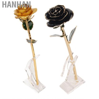 Hanhan Gold Dipped Rose  Bright Luster Rich Details with Holder 24K for Birthday