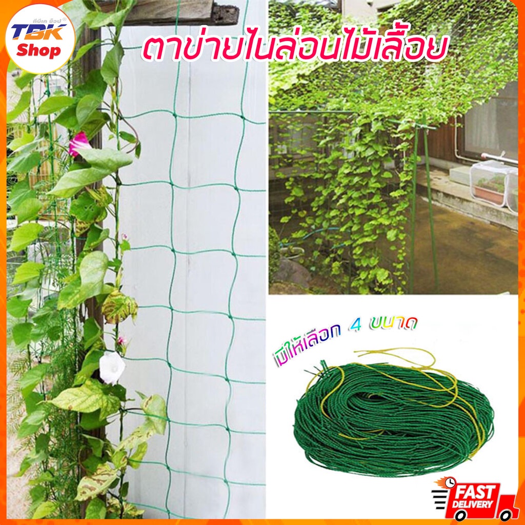 ตาข่ายไม้เลื้อย มี5ขนาด ตาข่ายไนลอน อุปกรณ์ทำสวน ตาข่ายไนลอนไม้เลื้อย