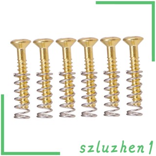 [Szluzhen1] สกรู และสปริง สําหรับกีตาร์ไฟฟ้า 6 ชิ้น