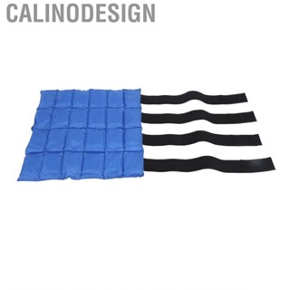 Calinodesign Horse Ice Boot  Reduce Swelling Cooling Leg Wrap Blue Long Lasting for Tendons Soft Tissues