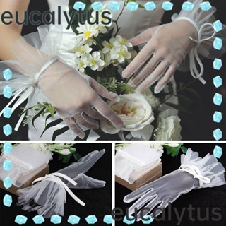 Eucalytus1 ถุงมือเจ้าสาว ริบบิ้นสีขาว โบว์ หรูหรา อุปกรณ์เสริมเพื่อนเจ้าสาว