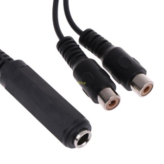 Bt สายเคเบิลแยก BT 6 5-Stereo 1 4 6 35 มม. ตัวเมีย เป็นปลั๊กตัวเมีย Dual-RCA 20 ซม.