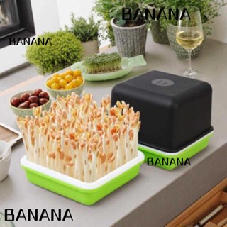 Banana1 4 ชิ้น / เซต ต้นกล้า ต้นกล้า หญ้า แมว ครัวเรือน ถาด ต้นกล้า กล่องปลูก กระถางงอก