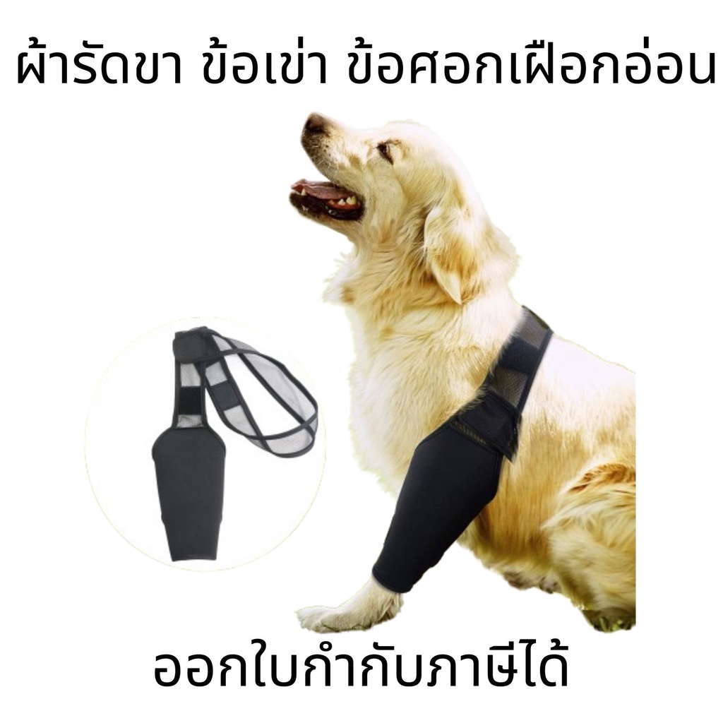 ผ้ารัดขาสุนัข เฝือกพยุงข้อศอกสุนัข แบบยาว ลดอาการเจ็บเข่า ข้อขาอักเสบ เหมาะสำหรับสุนัขที่มีปัญหาข้อเสื่อม