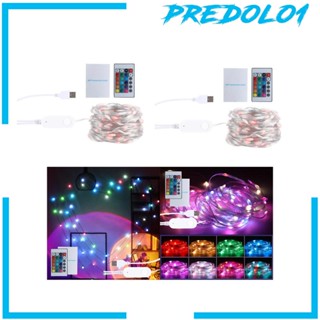 [Predolo1] โคมไฟ USB รูปลูกโลก สําหรับตกแต่งสวน คริสต์มาส งานแต่งงาน