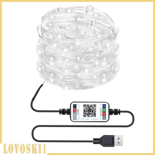 [Lovoski1] สายไฟหิ่งห้อย LED USB พร้อมตัวจับเวลา และบลูทูธ สําหรับตกแต่งสวน