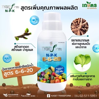 🌿Transform NPK 6-6-20🌿 ปุ๋ยน้ำเข้มข้นสูตร 6-6-20 ทรานฟอร์มธาตุอาหารหลักทางใบ ทำให้ผลดก ผลใหญ่ รสชาติดี เร่งการติดผล