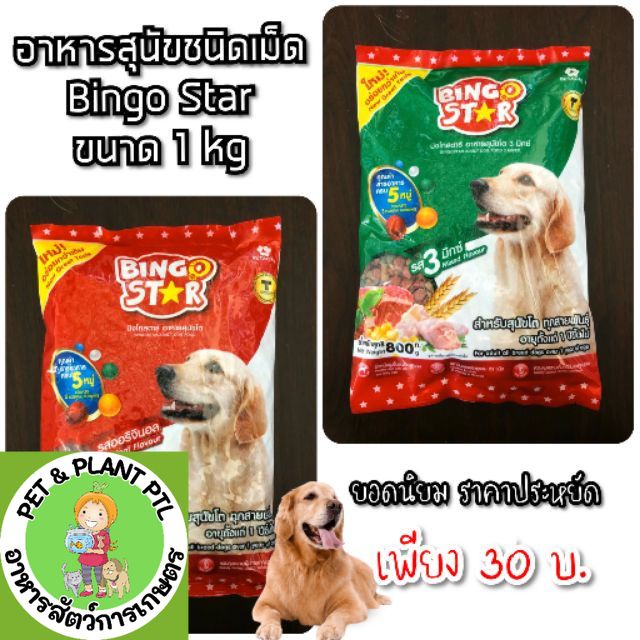 อาหารสุนัข ราคาถูก ชนิดเม็ด บิงโกสตาร์ Bingo star ขนาด 1 กิโลกรัม