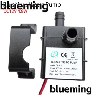 Blueming2 ปั๊ม DC ไร้แปรงถ่าน QR30E 4.8W DC 12V 24V