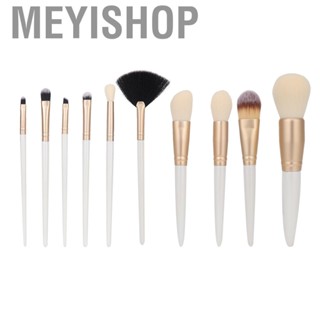 Meyishop Boquite 10pcs  Brush Makeup Tool