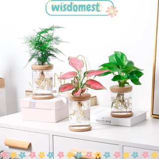 WISDOMEST แจกันดอกไม้ไฮโดรโปนิก แบบใส สําหรับตกแต่งบ้าน