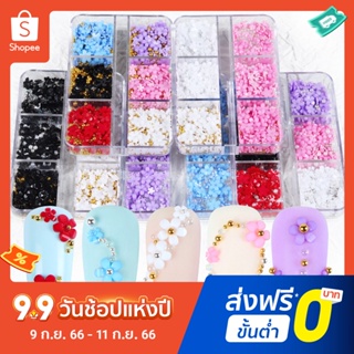 Pota กลีบดอกไม้เรซิ่น 6 ช่อง สําหรับตกแต่งเล็บ เคสโทรศัพท์