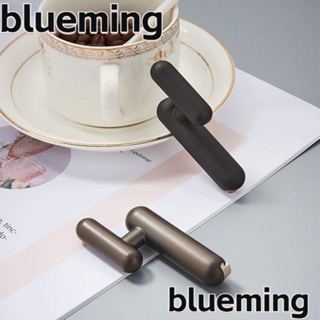 Blueming2 ตะขอแขวนเสื้อคลุม โลหะผสมสังกะสี สําหรับแขวนกระเป๋า หมวก เสื้อโค้ท ตกแต่งบ้าน