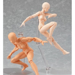 โมเดลฟิกเกอร์ อนิเมะ figma Body 1.0 Male/Female Skin Tone ขยับได้ สําหรับของขวัญ