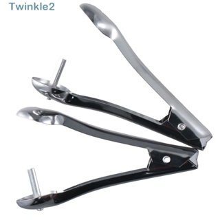 Twinkle อุปกรณ์เจาะแกนเชอร์รี่ สเตนเลส อเนกประสงค์ ทนทาน สีเงิน สําหรับเจาะมะกอก 2 ชิ้น