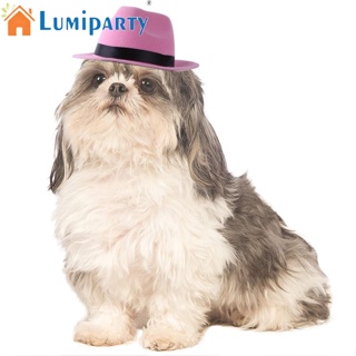 Lumiparty หมวกคอสเพลย์ ปรับได้ สําหรับสัตว์เลี้ยง สุนัข แมว