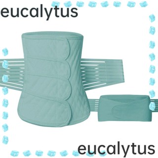 Eucalytus1 เข็มขัดกระชับสัดส่วนหลังคลอด สําหรับผู้หญิงหลังคลอดบุตร