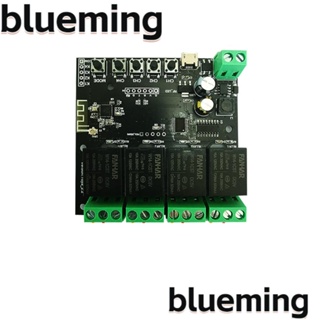 Blueming2 โมดูลสวิตช์ล็อคไฟฟ้าอัจฉริยะ WiFi พลาสติก WiFi 10A สีเขียว ทนทาน