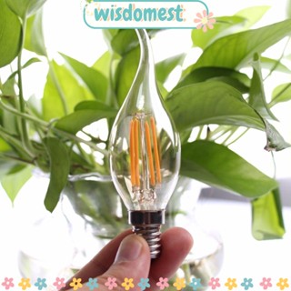 Wisdomest หลอดไฟคริสตัล LED E14 สีเหลืองอบอุ่น สําหรับตกแต่งบ้าน