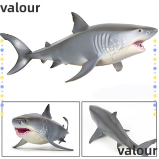 Valour โมเดลฉลามจําลอง สีขาว ของเล่นเสริมการเรียนรู้เด็ก