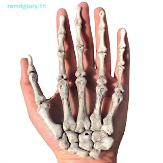 Remitglory พร็อพหัวกะโหลก สําหรับตกแต่งปาร์ตี้ฮาโลวีน