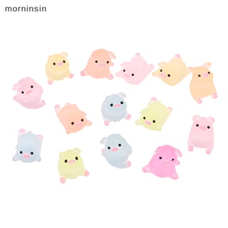 Morn ลูกบอลหมูเรืองแสง น่ารัก ของเล่นบรรเทาความเครียด DIY 5 10 ชิ้น EN