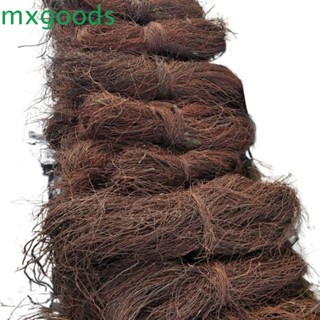 Mxgoods หวายไม้ สไตล์ป่าฝน สําหรับตู้ปลา Diy