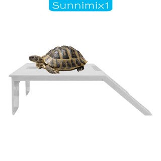 [Sunnimix1] แพลตฟอร์มเต่า ขนาดเล็ก สําหรับสัตว์เลื้อยคลาน กบ ซาลาม็อนเดอร์