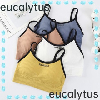 Eucalytus1 สปอร์ตบรา ผ้าฝ้าย สําหรับผู้หญิง