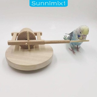 [Sunnimix1] ของเล่นเครื่องเจียรแอฟริกัน สีเทา ขนาดเล็ก สําหรับนกแก้ว