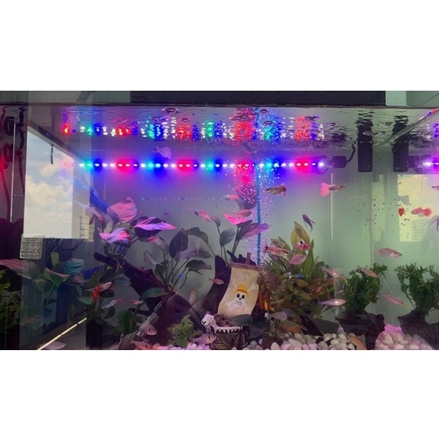ไฟตู้ปลา LED RGB (ปรับสีได้3 สเต็ป) T4 T200/T300/T400/T500/T600สวยงามยิ่งขึ้น ใช้ได้ทั้งในน้ำและบนบก