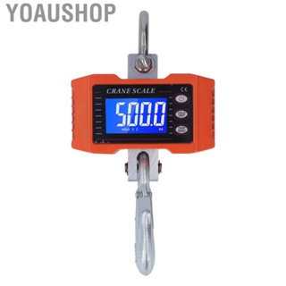 Yoaushop Hanging Scale Crane 1000KG Range For Measuring