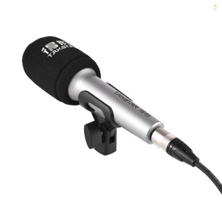 TAKSTAR Profession Dynamic Handheld Cardioid Condenser Wireless Microphone for Loudspeaker and Conferences