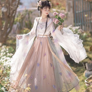 Hanfu Luoshen Beauty Wei Jin Southern North Dynasty Hanfu ชุดเดรสแขนยาว ปักลาย ขนาดใหญ่ แฟชั่นฤดูใบไม้ผลิ และฤดูใบไม้ร่วง