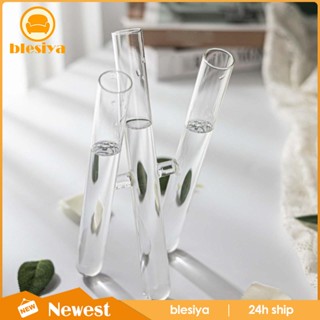 [Blesiya] แจกันดอกไม้ พร้อมหลอดทดลอง 3 หลอด แฟชั่น สําหรับตกแต่ง