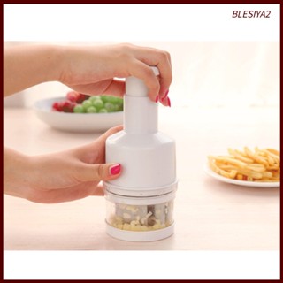 [Blesiya2] เครื่องบดสับผัก หัวหอม ขิง สเตนเลส